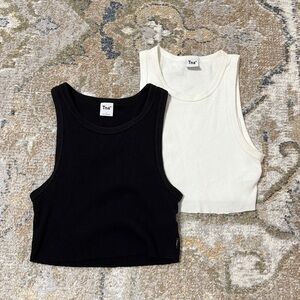 Bundle of artizia tanks